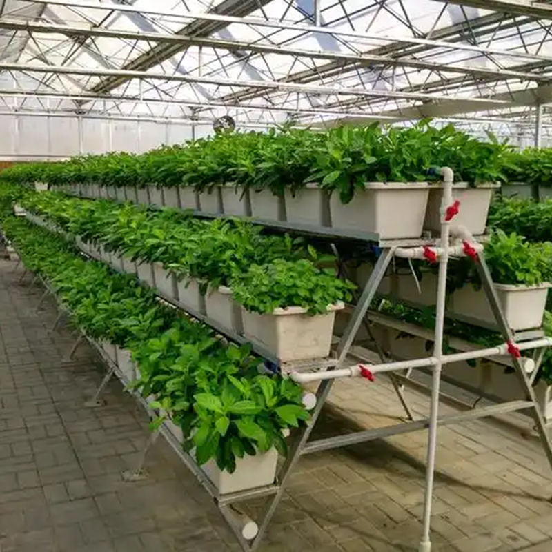 淮南市植物工厂智能温室 - 厂家